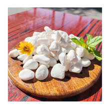 白色东莞·惠州塑胶花厂直供彩色鹅卵石仿真盆景上盆装饰专用