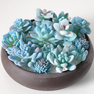 �{ɫϵֲ�q�������ֲ��Gֲ �Ҿ��b�diy�[���M�����������辰