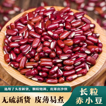 ��؛��С��1��|�ඹ�����L���r��޲���׼tС���͌���t��