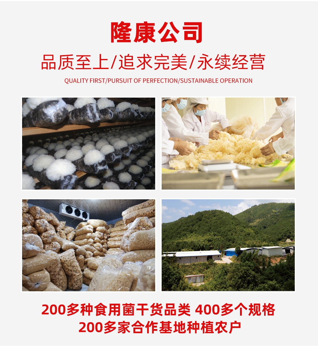 1688详情页-公司_03