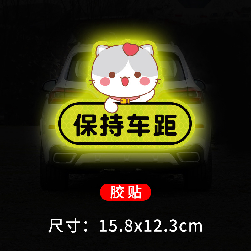 Kitten keeps distance from car stickers