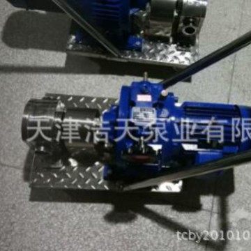 精细化工齿轮泵TDCB 不锈钢齿轮泵 食品齿轮泵 精油齿轮泵
