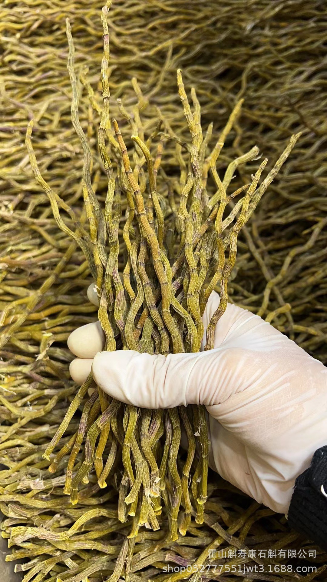 Tie Pi Shi Hu Dried Dendrobium Stems Huoshan Tie Pi Shi Hu Traditional Herbal Ingredient 500g Bulk Pack specifications