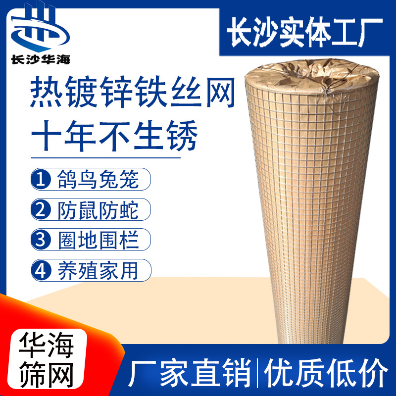 厂家供应低碳钢铁丝排焊电焊网养殖钢丝网外墙粉刷抹灰网热镀锌