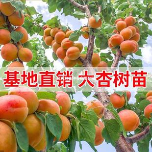 �Ә����ش�������Ә��������Ե����ͺ��ͺ��ϱ����Nֲ����Y��