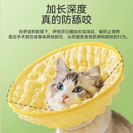 宠物猫狗伊丽莎白圈英短猫颈圈头套亚马逊新品猫咪绝育项圈防舔咬