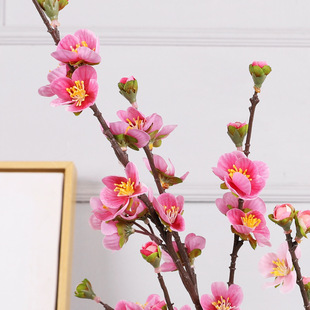 �����һ��������l�һ�֦�^��[����������һ�������һ��҃����l