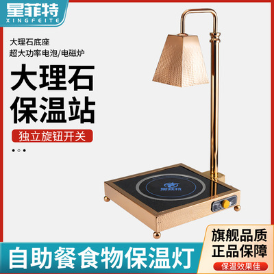 Masahiro new pattern Adjustable temperature Food Heat lamps Buffet Heat lamps Chafing Dish Electric heating food Heat lamps