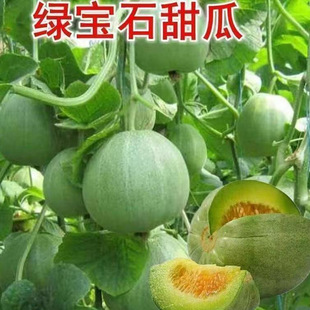 �G��ʯ��ϷN����ϷN�Ӵ����ļ��������߮a��ϷN��