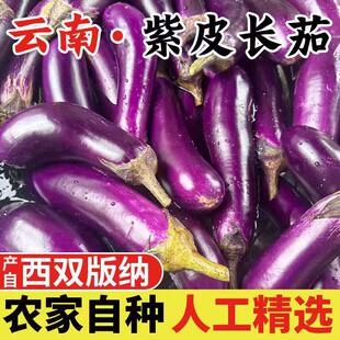 ������p��{���r�����ώ�t���r��¶��Nֲ�Fժ
