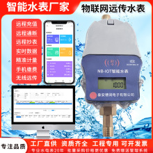 NB-IOT物联网远传水表家用农村改造防水阀控水表远程控制手机缴费