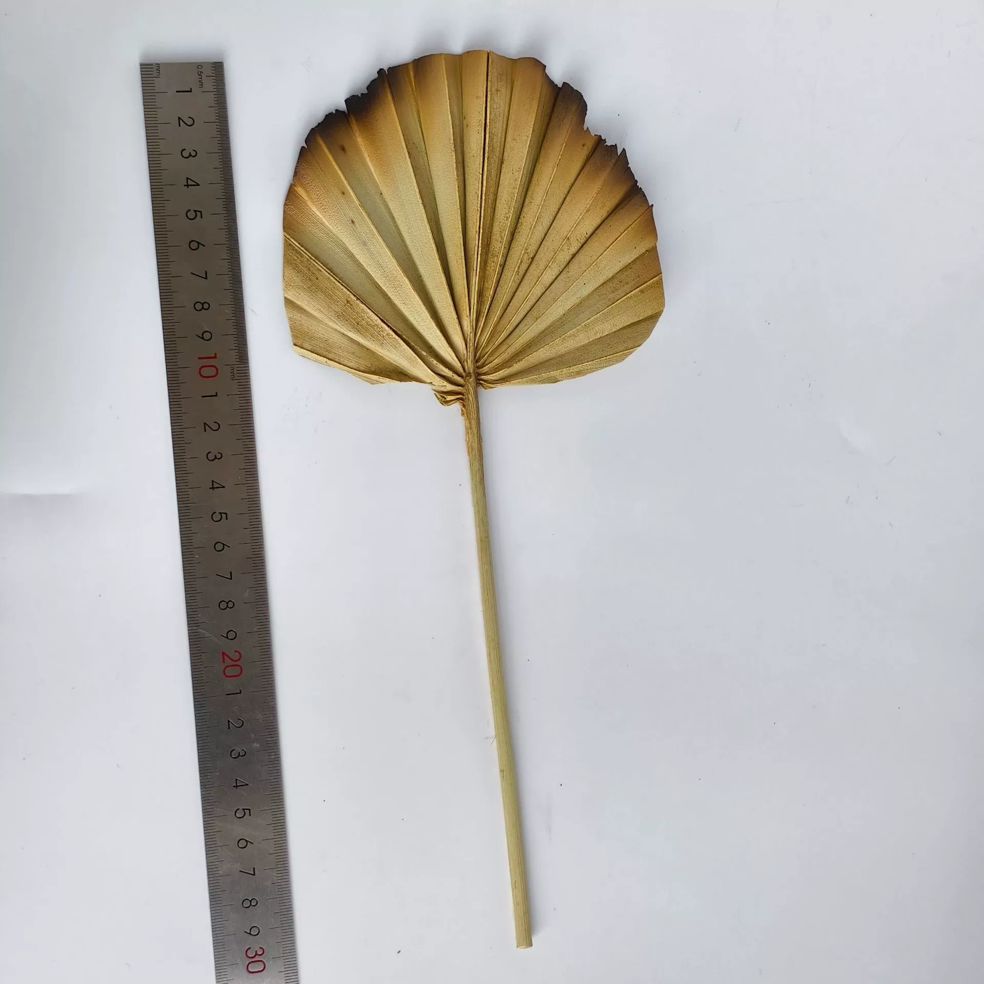 Настроить | Импортированные сушеные цветы и листья, пальмовые листья в форме молотка, украшение для дома, праздничные подарки, натуральные растения.