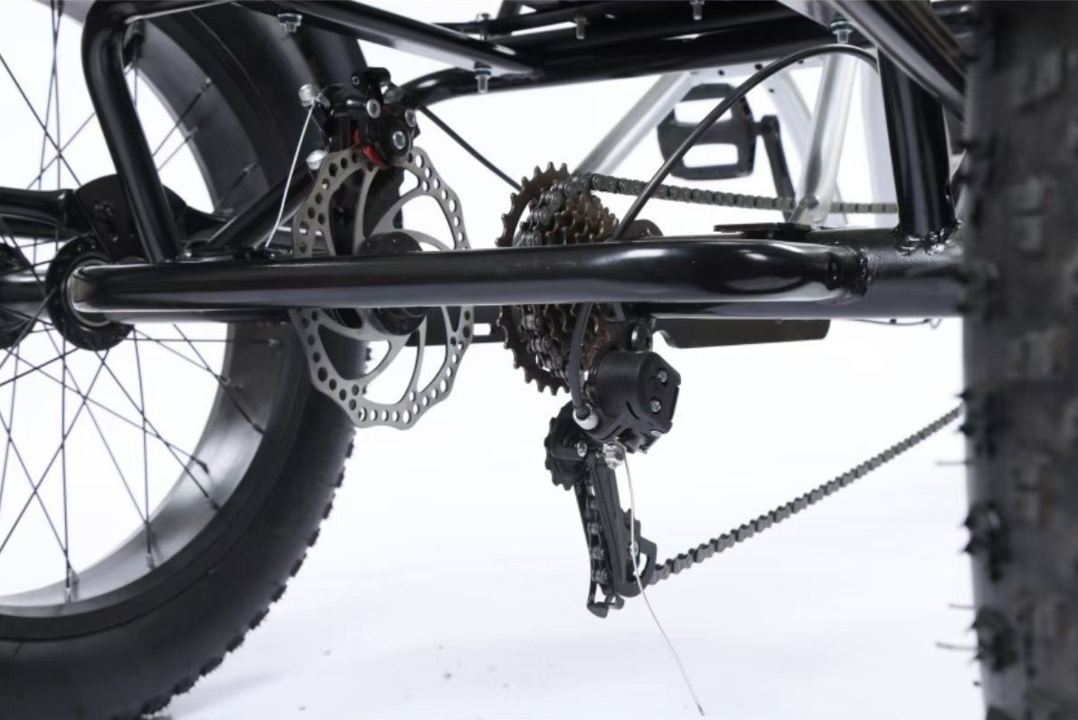 20-inch Fat Tire Snow Electric Tricycle Bicycle Lithium Battery