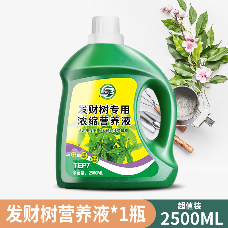 [머니트리 특수영양액] 2500ml*1병