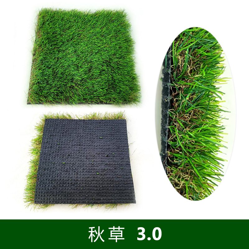 가을의 풀 하이엔드 품질 [10 년 보증]