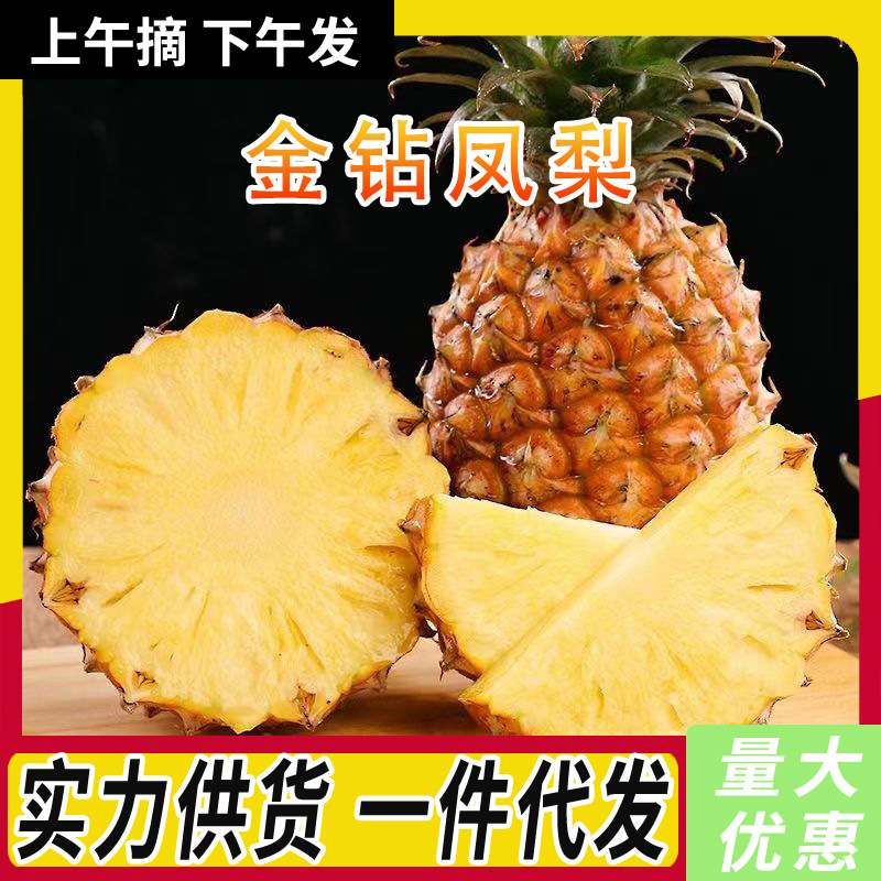 Authentic Hainan Golden Diamond Pineapple Large Fruit Pineapple Seasonal Fruit Old Tree Naturally Ripe Hand-Torn Pineapple 5kg Whole Box Batch