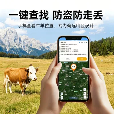Anti-Lost and Anti-Theft Satellite Positioning – GPS Locator