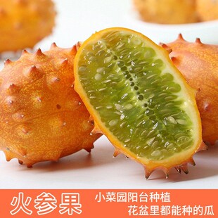 �������N�ӷ����۹ϴ̽ǹϺ������N�Ѵ������ļ������׷Nˮ���N��