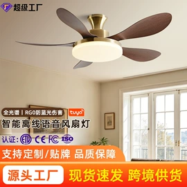 风扇灯;吊扇