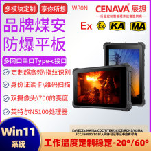 工厂W80N农木业野外探险车载 工业防爆全加固平板电脑