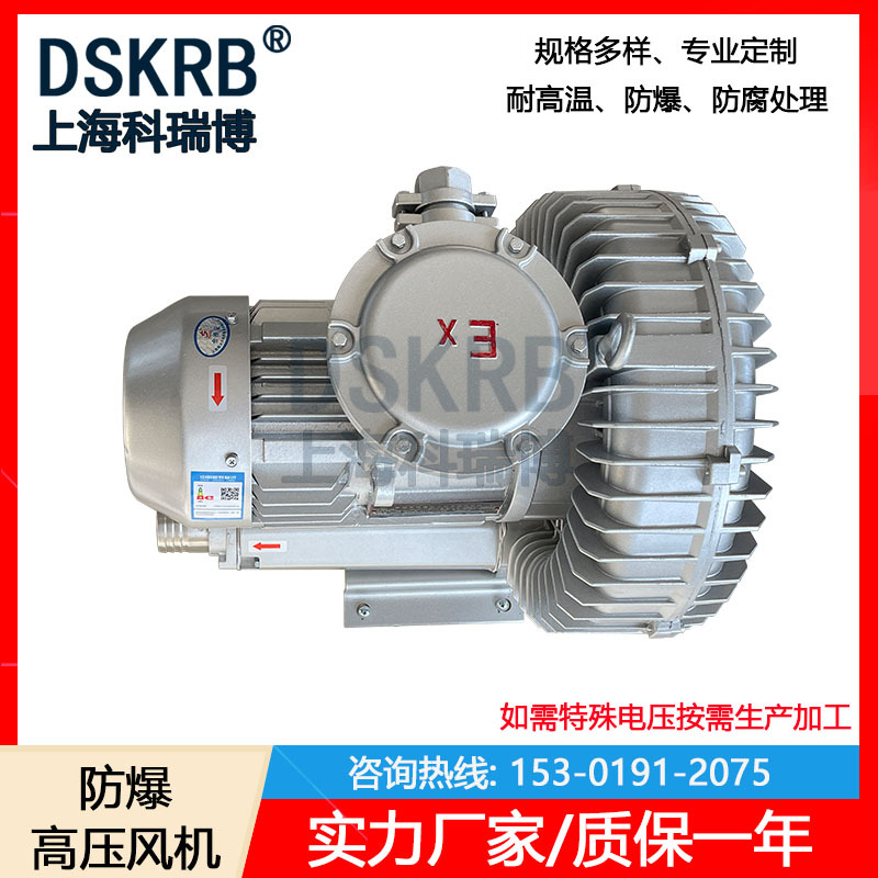 批发零售 清洗设备微型高压气泵 高压涡旋鼓风机输送防爆高压风机