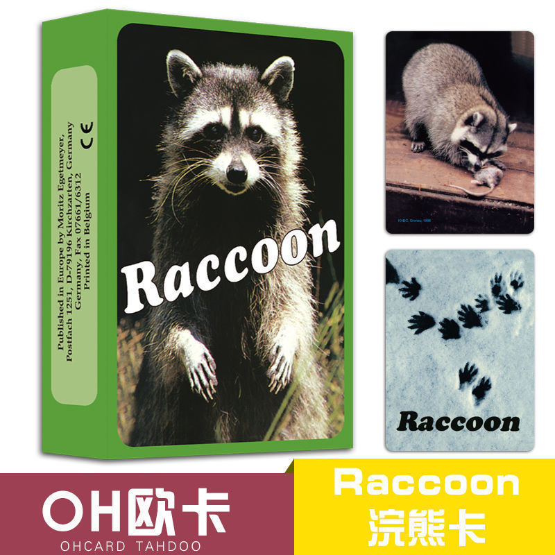 Oka ブランドのサブリミナル プロジェクション カード、チーム ビルディング、スピリチュアル マップ カード、標準カード、オーバーカム カード、子供用カード、送料無料|undefined