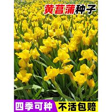 �S���ѷN���S���Sβˮ����ˮֲ����ˮ����ˮ�ݷN��������ˮ�T��