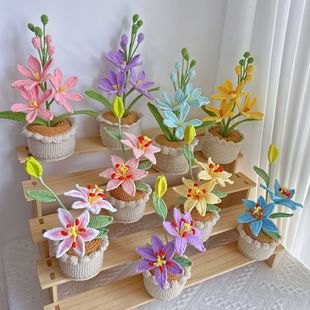 �羳��Ʒ�h���p�^С�ٺϻ����� �ֹ�ë�����滨�[���Ҿ��b�