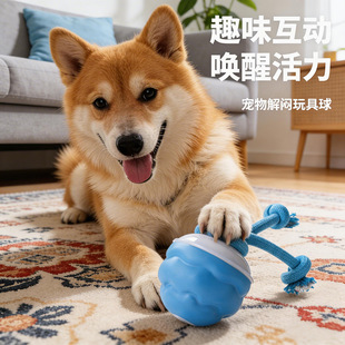 ����늄Ӷ����򹷹�������˽␞��ҧ�l�������ﻥ�����