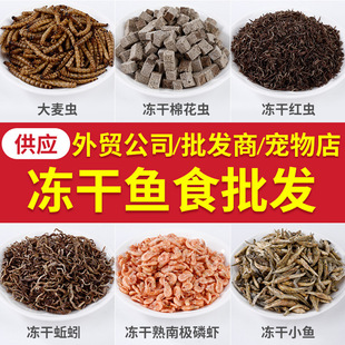 Wholesale Freeze Dried Antarctic Krill Daphnia Red Worm Frozen New Year Shrimp Parrot Fish Ornamental Fish Feed Fish Food Turtle Food
