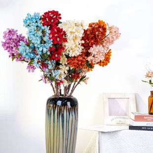 ��ޱ����֦���滨 �͏d�Ҿ��b�c��Y�û� �Ƶꙻ���b����l