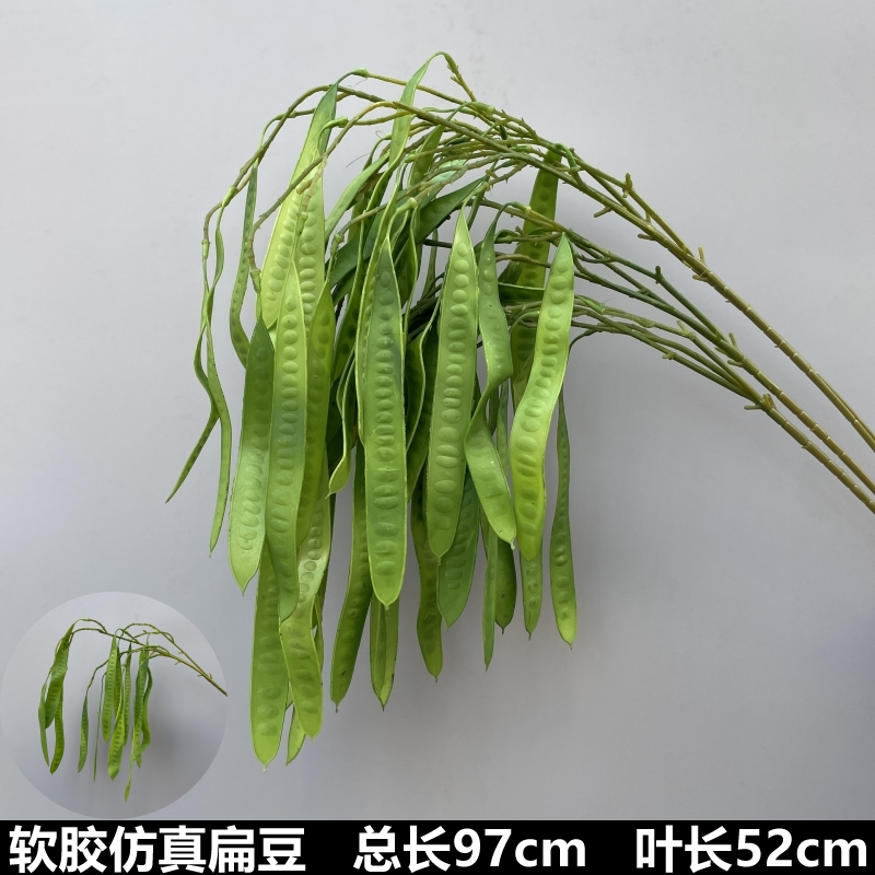 연한 갈색 녹색 콩