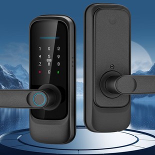 Graffiti Multifunctional Home Password Lock, Apartment Office Indoor Fingerprint Door Lock, Can Be Remotely Controlled