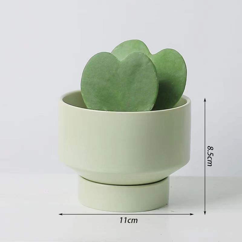 Un cactus de corazón pequeño maceta flores suculentas plantas verdes fáciles de alimentar y vivir decoración de escritorio de oficina fácil de vivir image 4