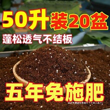 种菜好货种植花土土泥炭今日土壤种植多肉营养土养花有机绿萝