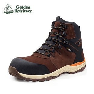 GoldenRetriever�羳���Q�ЎͰ�ȫЬ�^��ţƤ���Ҵ��̹��V�ڱ�Ь