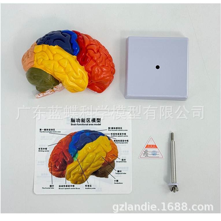 ��������ɫ�ֹ�����ģ�� ҽ����ͨģ�� ���� �Կƽ�ѧģ��