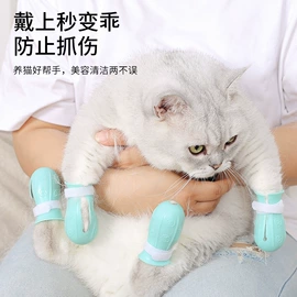 宠物项圈;伊丽莎白圈;狗狗清洁