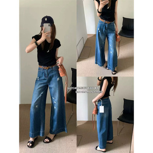 DIMODD �ƶ��������ţ��ѝŮ2026�ļ��n�挒���@�ݾŷ�Ͳ��ѝ