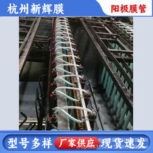 ꎘO�Ӿ����܇�T�b�Ӿ�� �ӾꖘOĤ�� ��ʽꖘO ꖘO�� �ײ��