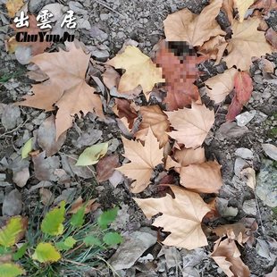 ���~�ɻ��ݘ��~�˱�����~�b����~���߸ɘ��~��ͩ�ֹ����~��