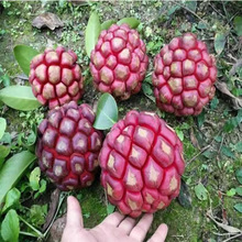 ���ϻ����N�Ӵ�Ѫ�ٲ�����ˮ���N����Ʒ�N�ϱ����ɷN����a��