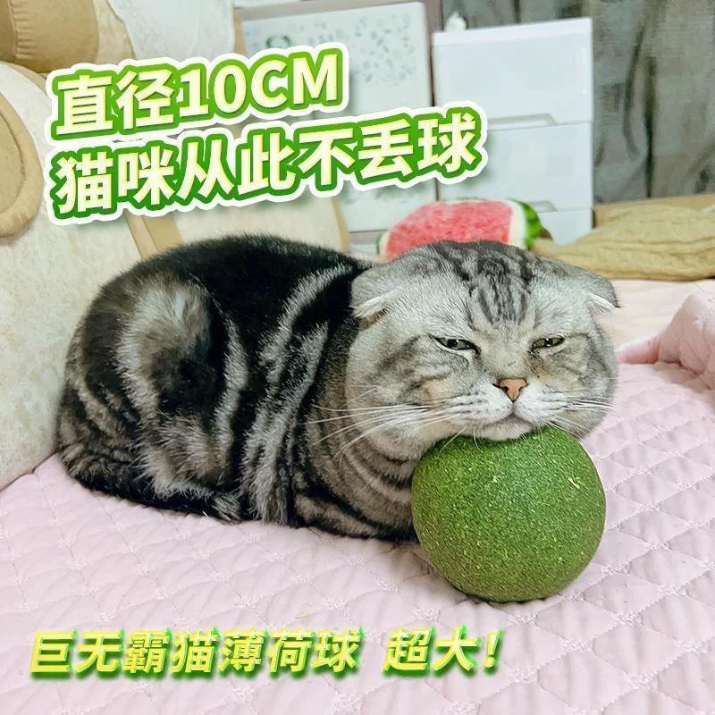 猫薄荷球超大号猫玩具10cm巨型球自嗨解闷神器猫咪玩具宠物用品|undefined
