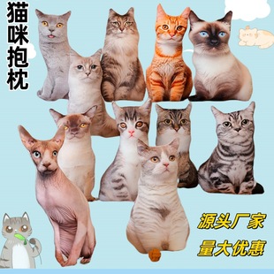 ����3d����؈؈����؈��ë�q��߹�����ż����ɳ�l���|���l���l