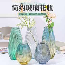 简约透明玻璃枫叶花瓶插花水养鲜花装饰ins风高颜值花瓶客厅摆件