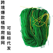 ֲ��@ˇ���پW�����S�����ٴ�ܾW�ӏ��������W��ţ����������