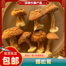 云南特产姬松茸干货巴西菇蘑菇非野生菌菇煲汤食材产地直供