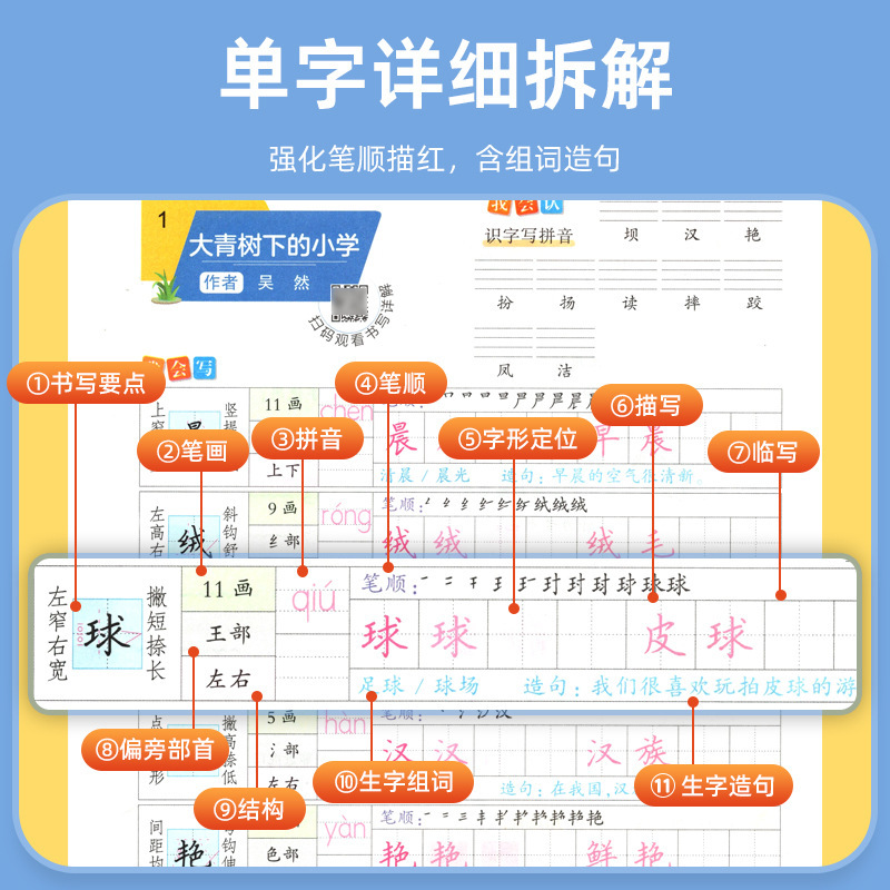 Huaxia Wanjuan 小学生向けの同期ライティングクラスの練習ステッカー、1、2、3、4、5、6 年生向け、上下巻、同期教育|undefined