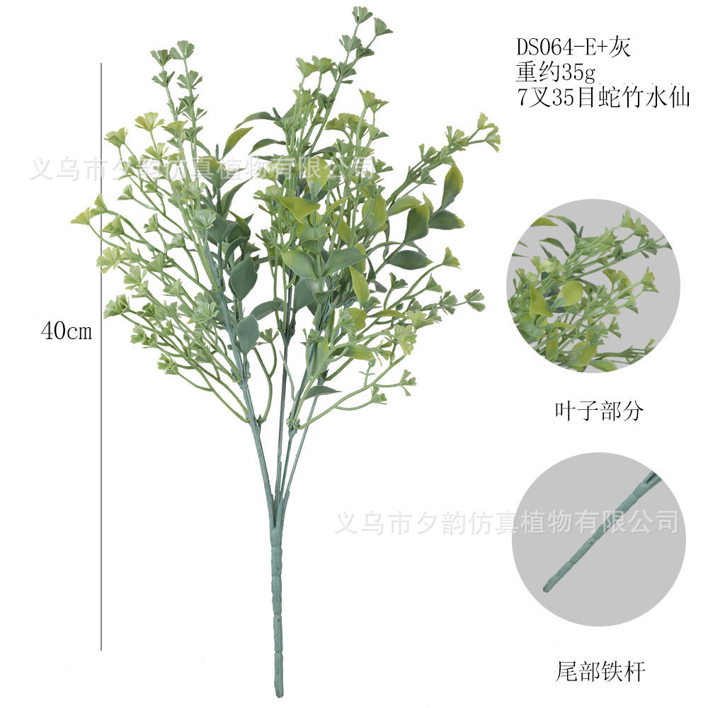 DS064-회색 녹색 7갈래 뱀 대나무 수선화