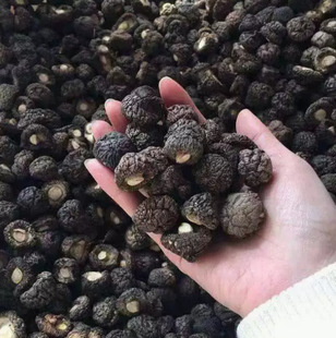 ��؛���X��С�㹽��؛���鹽�r��С��Ģ���خa�������ʳ�����l